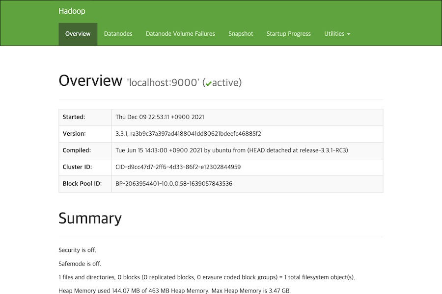 Hadoop Namenode Web UI