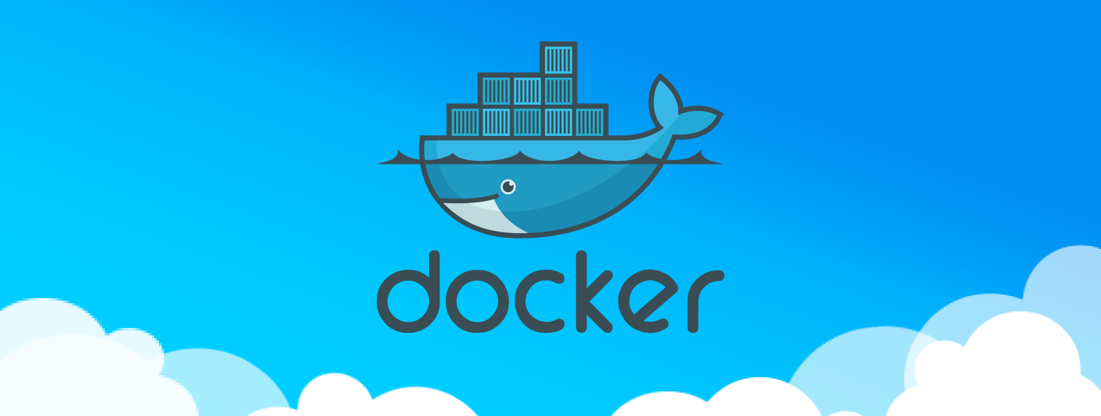 docker mysql export database